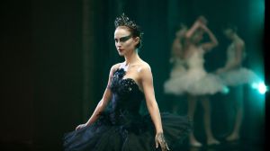 black-swan-1200-1200-675-675-crop-000000