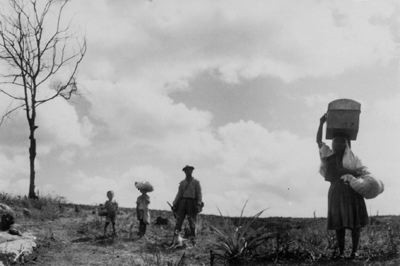 brazil_vidas_secas_240841